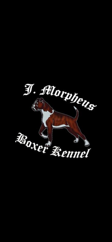 J.Morpheus Boxer Kennel - Boxer breeder